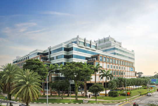 31 International Business Park