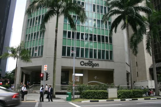 The Octagon