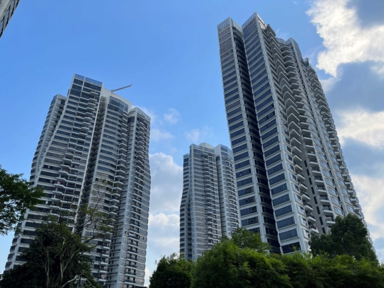 D'Leedon