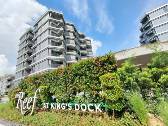 The Reef at King's Dock