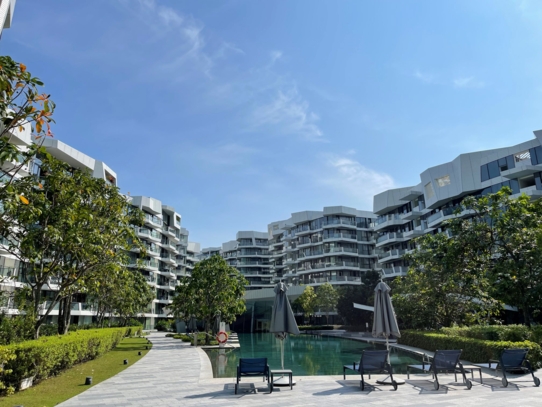 Corals at Keppel Bay