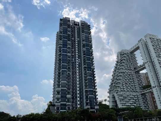 Sky Vue